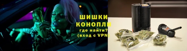 ALPHA PVP Белокуриха