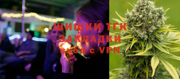 твердый Новозыбков