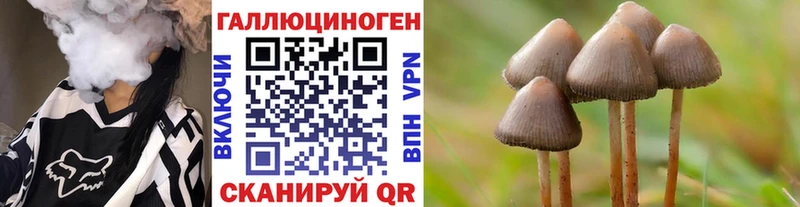 Псилоцибиновые грибы Psilocybe  Буинск 
