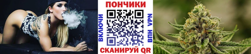 Бошки Шишки SATIVA & INDICA Буинск